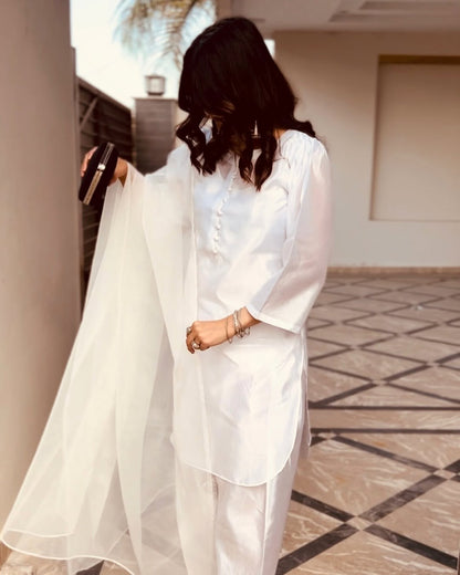 WDR-117 RIVAJ FARSHI SHALWAR (MULTI)